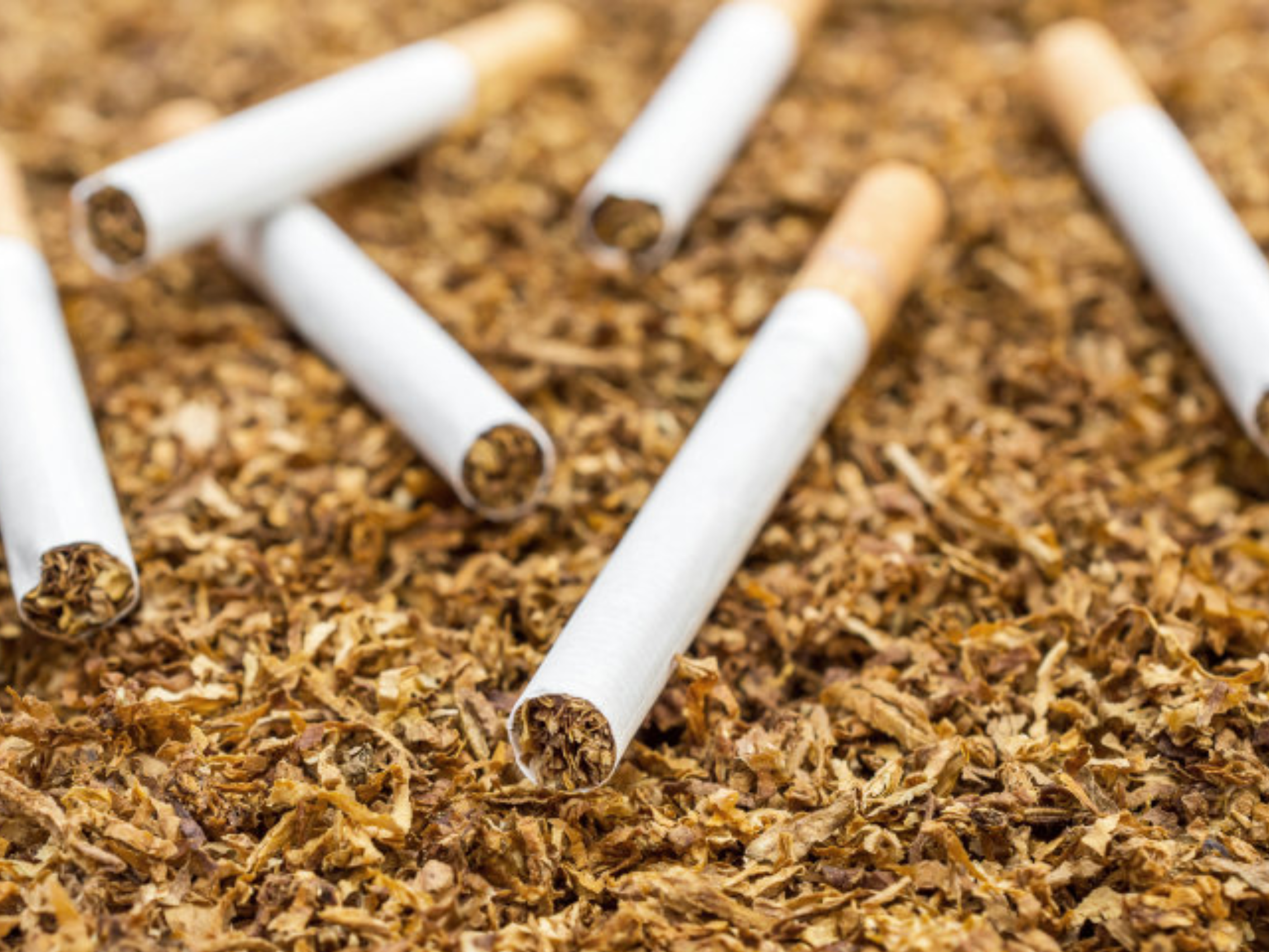 Quality in Cigarette Production